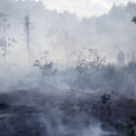 29.06.2017 Bugaj. Pożar lasu. Straży pożarnej pomagały samoloty gaśnicze Dromader. / Jarosław Kubalski / Radio Kielce