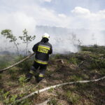 29.06.2017 Bugaj. Pożar lasu. Straży pożarnej pomagały samoloty gaśnicze Dromader. / Jarosław Kubalski / Radio Kielce
