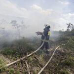 29.06.2017 Bugaj. Pożar lasu. Straży pożarnej pomagały samoloty gaśnicze Dromader. / Jarosław Kubalski / Radio Kielce