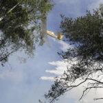 29.06.2017 Bugaj. Pożar lasu. Straży pożarnej pomagały samoloty gaśnicze Dromader. / Jarosław Kubalski / Radio Kielce