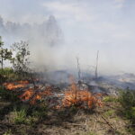 29.06.2017 Bugaj. Pożar lasu. Straży pożarnej pomagały samoloty gaśnicze Dromader. / Jarosław Kubalski / Radio Kielce