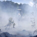 29.06.2017 Bugaj. Pożar lasu. Straży pożarnej pomagały samoloty gaśnicze Dromader. / Jarosław Kubalski / Radio Kielce