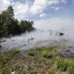 29.06.2017 Bugaj. Pożar lasu. Straży pożarnej pomagały samoloty gaśnicze Dromader. / Jarosław Kubalski / Radio Kielce