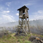 29.06.2017 Bugaj. Pożar lasu. Straży pożarnej pomagały samoloty gaśnicze Dromader. / Jarosław Kubalski / Radio Kielce
