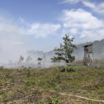 29.06.2017 Bugaj. Pożar lasu. Straży pożarnej pomagały samoloty gaśnicze Dromader. / Jarosław Kubalski / Radio Kielce