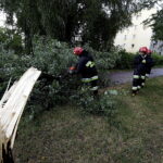 28.06.2017 Kielce. Złamane drzewo przy ulicy Warszawskiej. / Jarosław Kubalski / Radio Kielce