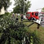 28.06.2017 Kielce. Złamane drzewo przy ulicy Warszawskiej. / Jarosław Kubalski / Radio Kielce