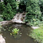 28.06.2017 Tarczek. Gospodarstwo w Tarczku w gminie Pawłów. / Krzysztof Bujnowicz / Radio Kielce