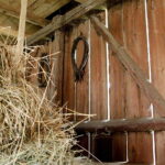 28.06.2017 Tarczek. Gospodarstwo w Tarczku w gminie Pawłów. / Krzysztof Bujnowicz / Radio Kielce