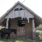 28.06.2017 Tarczek. Gospodarstwo w Tarczku w gminie Pawłów. / Krzysztof Bujnowicz / Radio Kielce