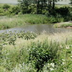 28.06.2017 Tarczek. Gospodarstwo w Tarczku w gminie Pawłów. / Krzysztof Bujnowicz / Radio Kielce