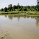 28.06.2017 Tarczek. Gospodarstwo w Tarczku w gminie Pawłów. / Krzysztof Bujnowicz / Radio Kielce