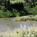 28.06.2017 Tarczek. Gospodarstwo w Tarczku w gminie Pawłów. / Krzysztof Bujnowicz / Radio Kielce