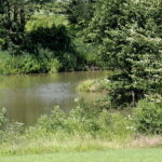 28.06.2017 Tarczek. Gospodarstwo w Tarczku w gminie Pawłów. / Krzysztof Bujnowicz / Radio Kielce