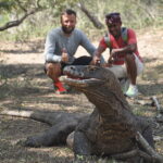 Wyspa Komodo. / Paweł Otwinowski