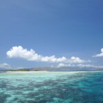 Wyspa Komodo. / Paweł Otwinowski