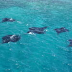 Wyspa Komodo. / Paweł Otwinowski