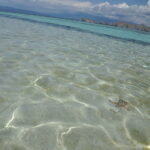 Wyspa Komodo. / Paweł Otwinowski