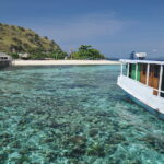 Wyspa Komodo. / Paweł Otwinowski