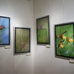 13.06.2017 Kielce. Muzeum Historii Kielc. Wernisaż wystawy "Z kart czerwonej księgi" - fotografie zwierząt i roślin autorstwa Kamila Sohjdy i Bartłomieja Nurczyńskiego. / Katarzyna Prędotka / Radio Kielce