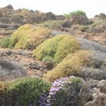 Kreta / Jerzy Jop / Radio Kielce