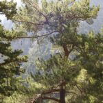 Kreta / Jerzy Jop / Radio Kielce