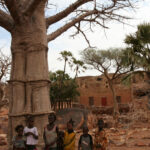 Muzyczne Podróże Przez Świat - Mali / Grażyna Woźniczka-Bogucka