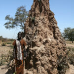 Muzyczne Podróże Przez Świat - Mali / Grażyna Woźniczka-Bogucka