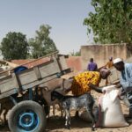Muzyczne Podróże Przez Świat - Mali / Grażyna Woźniczka-Bogucka