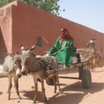 Muzyczne Podróże Przez Świat - Mali / Grażyna Woźniczka-Bogucka