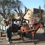 Muzyczne Podróże Przez Świat - Mali / Grażyna Woźniczka-Bogucka