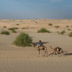 Muzyczne Podróże Przez Świat - Mali / Grażyna Woźniczka-Bogucka