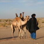 Muzyczne Podróże Przez Świat - Mali / Grażyna Woźniczka-Bogucka