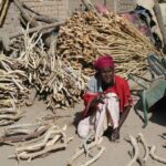 Muzyczne Podróże Przez Świat - Mali / Grażyna Woźniczka-Bogucka