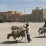 Muzyczne Podróże Przez Świat - Mali / Grażyna Woźniczka-Bogucka