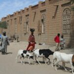 Muzyczne Podróże Przez Świat - Mali / Grażyna Woźniczka-Bogucka