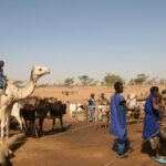 Muzyczne Podróże Przez Świat - Mali / Grażyna Woźniczka-Bogucka