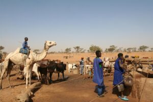 Muzyczne Podróże Przez Świat - Mali / Grażyna Woźniczka-Bogucka