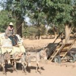 Muzyczne Podróże Przez Świat - Mali / Grażyna Woźniczka-Bogucka