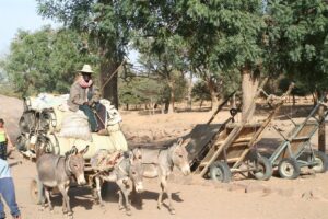 Muzyczne Podróże Przez Świat - Mali / Grażyna Woźniczka-Bogucka