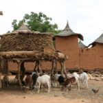 Muzyczne Podróże Przez Świat - Mali / Grażyna Woźniczka-Bogucka