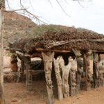 Muzyczne Podróże Przez Świat - Mali / Grażyna Woźniczka-Bogucka