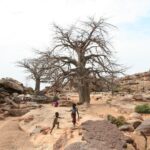 Muzyczne Podróże Przez Świat - Mali / Grażyna Woźniczka-Bogucka