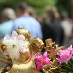 15.06.2017 Kielce. Procesja Bożego Ciała. / Marzena Mąkosa / Radio Kielce