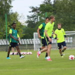 15.06.2017 Kielce. Trening Szwedów. / Marzena Mąkosa / Radio Kielce