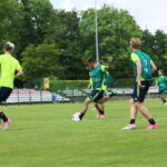 15.06.2017 Kielce. Trening Szwedów. / Marzena Mąkosa / Radio Kielce