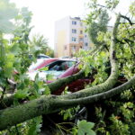 28.06.2017 Kielce. Przygniecenie pojazdu przez drzewo przy ulicy Marszałkowskiej. / Marzena Mąkosa / Radio Kielce