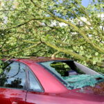 28.06.2017 Kielce. Przygniecenie pojazdu przez drzewo przy ulicy Marszałkowskiej. / Marzena Mąkosa / Radio Kielce