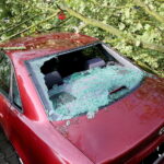 28.06.2017 Kielce. Przygniecenie pojazdu przez drzewo przy ulicy Marszałkowskiej. / Marzena Mąkosa / Radio Kielce