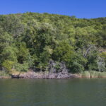 Bułgaria. Rezerwat Ropotamo. Las Łongoz i rzeka Ropotamo. / Andrzej Staśkowiak